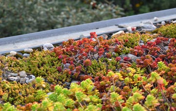 the cost of Fonthill Bishop green roof installation