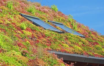 Fonthill Bishop living roof systems