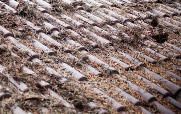 Fonthill Bishop roof cleaning companies